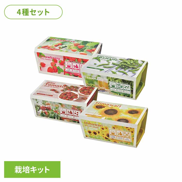 【4種セット】エンジョイプランター（イチゴ・えだまめ・ミニトマト・ミニヒマワリ） 栽培キット 栽培セット イチゴ えだまめ ミニトマト ミニヒマワリ 聖新陶芸 SEISHIN ギフト [2604SO]