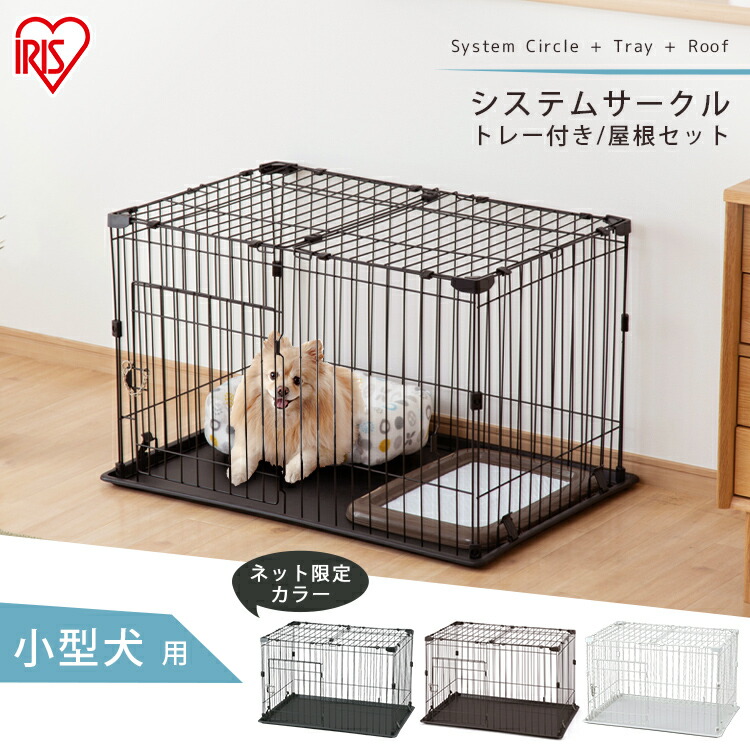 探し回る