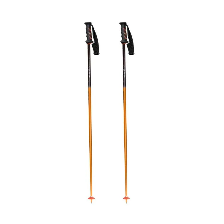 sinano skiing pole [SL-R @16500]シナノ スキーポール 【送料無料】｜ロコモショップ　店