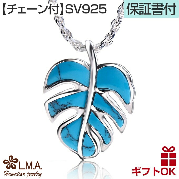 sct566ropesetweb.jpg