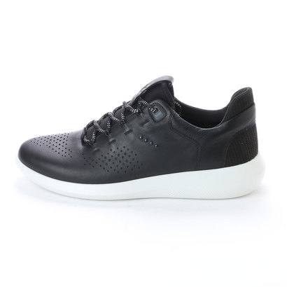 ecco mens scinapse