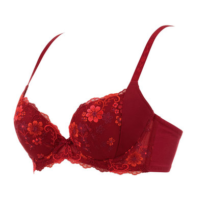 楽天市場 アウトレット Triumph トリンプ 天使のブラ スリムライン