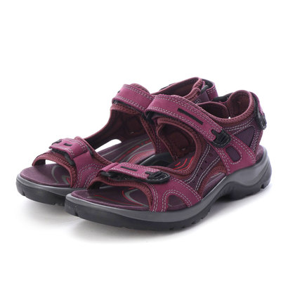 ecco offroad aubergine