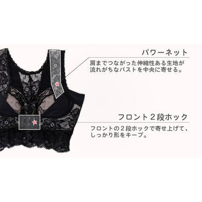 Amazon Co Jp ドルフィードリーム