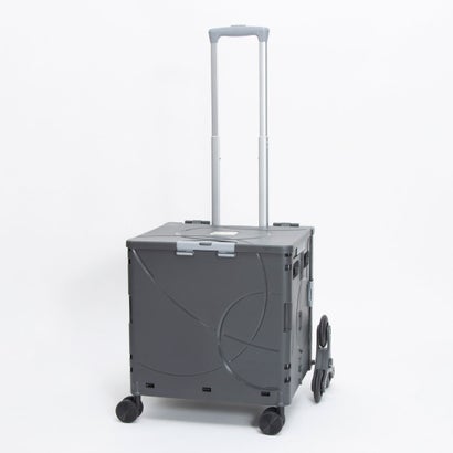 アンドフラット &.FLAT コンパクトキャリーケース Ranger 36L （ダークグレー）｜LOCOMALL（ロコンド公式ストア）