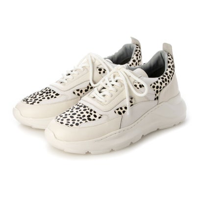 【Unisex large】Schedar/シェダル（Dalmatian）音の大きさスニーカー