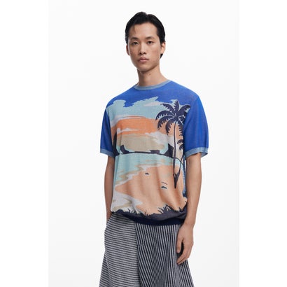 デシグアル Desigual SALT Tシャツショートスリーブ （ブルー）