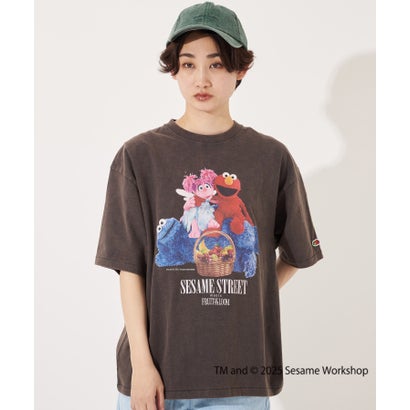 フルーツオブザルーム SESAME STREET meets FRUIT OF THE LOOM Photo T-Shirt B （チャコール）