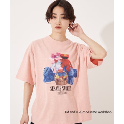 フルーツオブザルーム FRUIT OF THE LOOM SESAME STREET meets FRUIT OF THE LOOM Photo T-Shirt B （ピンク）