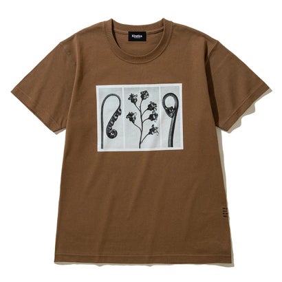動力学 Kinetics 御花 ティーシャツ（FLOWER T-SHIRT） （BROWN）