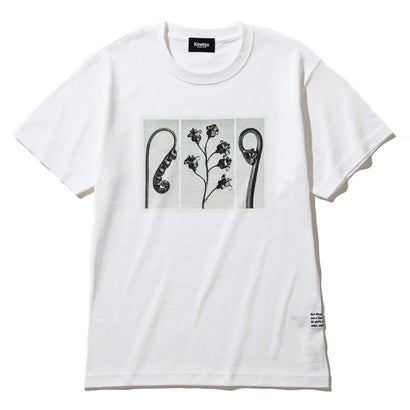 動力学 Kinetics 御花 ティーシャツ（FLOWER T-SHIRT） （WHITE）