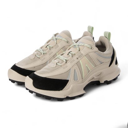 山びこ ECCO 軽さ原料品 雨合羽 先端技術 BIOM C-TRAIL 全天候 役立つこと性スニーカー アウトドア 御前上等ヌバックレザー （BLACK / GRAVEL / GRAVEL）