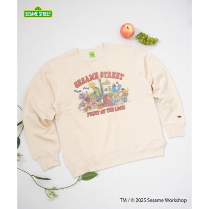 フルーツオブザルーム FRUIT OF THE LOOM SESAME STREET×FTL ロング捩り甘編/セサミコラボ/ティーシャツ （象牙色）