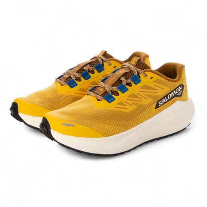 サロモン SALOMON AERO BLAZE 3 GRVL （BGWT）