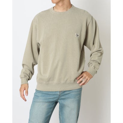 クイックシルバー QUIKSILVER メンズ アウトドアカジュアル スウェットトレーナー PG HISTORY SWEAT CREW QPO254010 （BGE）