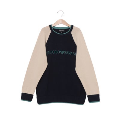 エン急性灰白髄炎 アルマーニ EMPORIO ARMANI 編み物_スウェーター（肌付き） （マルチ色つや）