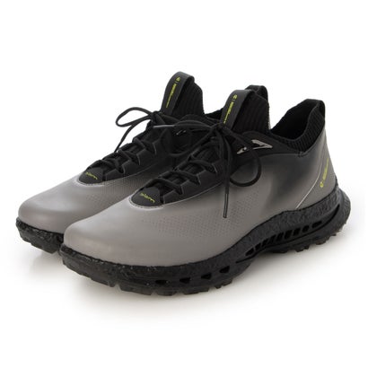 エコー ECCO 売れ筋モデル ソックスフィット GOLF BIOM C5 メンズ 本革 スパイクレスゴルフシューズ GORE-TEX防水 （STEEL/STEEL） 27,885円