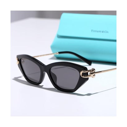 ティファニー TIFFANY&Co. Tiffany&Co. サングラス HardWear ハードウェア TF4231-U （8001/81/ブラック）