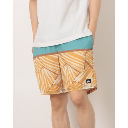 クイックシルバー QUIKSILVER メンズ マリン ボードショーツ EVERYDAY POOLSIDER 19 EQYJV04224 【返品不可商品】 (BJK6)