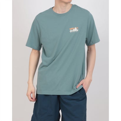 パタゴニア Patagonia 37841/M’S \u002773 SKYLINE T SHIRT （サルヴィア緑であること）