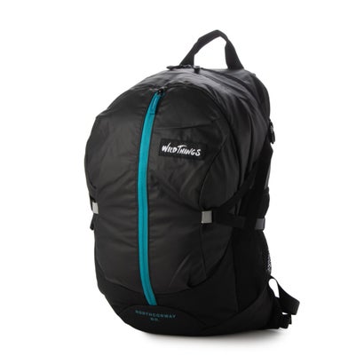 ワイルドシングス WILD THINGS ヘルメットバックパック （TURQUOISE）