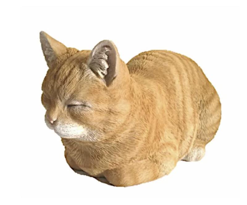 野川農園香箱ねこ