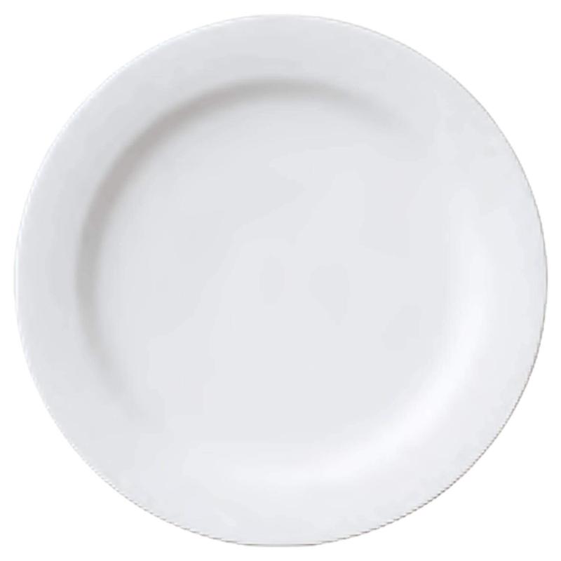 Noritake ノリタケ プレート 29.5cm アークティックホワイト 電子レンジ対応 食洗器対応 1枚 白 ファインポーセレン（ホワイト） 91505/4000