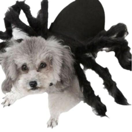 愛玩動物服 犬猫用 ハロウィン 細蟹 変身 お召しもの 仮面舞踏会服 面白可笑しい お召しもの 蜘蛛柄 黒いこと ポリエステル 伸縮性 軽さ 延性のある 御前上等感 好いたらしい 飼い犬 猫 コスプレ ほっつき歩く用 室内用 室外用 化けの皮 遊び心 特殊 青写真性 思わしい 耐久 通気性