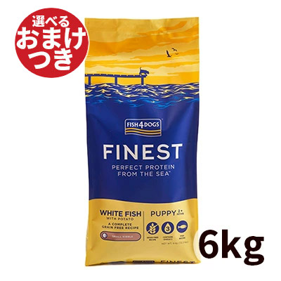 2026.06 新商いもの特集！