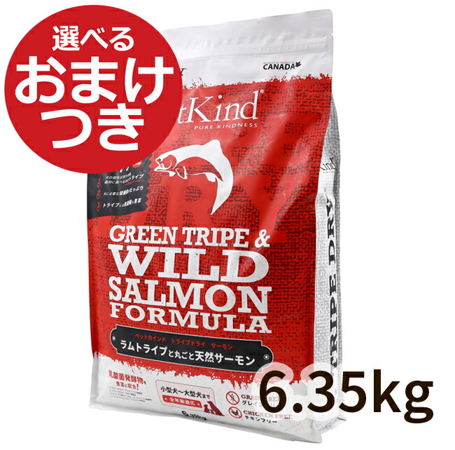 2026.04 新商いもの特集！ 犬用品-ドッグフード