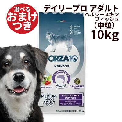 2026.06 新商いもの特集！