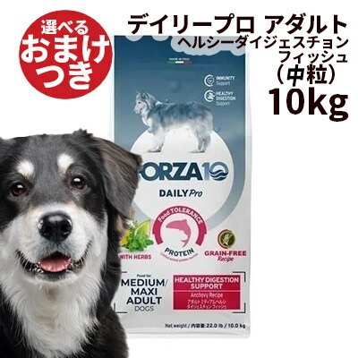 2026.06 新商いもの特集！