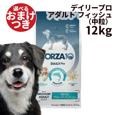 楽天市場】FORZA10 フォルツァディエチ Daily Pro アダルトミディアム