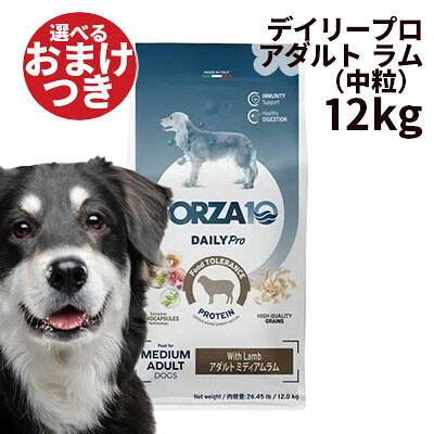 【正規輸入品】FORZA10 デイリープロ アダルト ラム ミディアム 中粒 犬用 12kg|ロゴスペットサイト