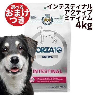【リニューアル】【正規輸入品】FORZA10 インテスティナルアクティブ ドッグ ミディアム 犬用 4kg｜ロゴスペットサイト
