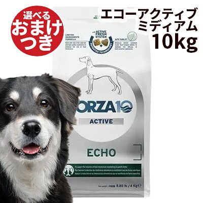2026.06 新商いもの特集！