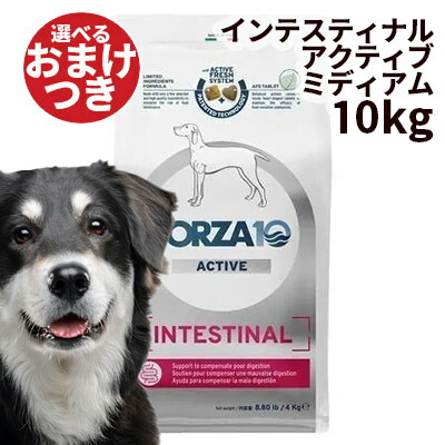 2026.06 新商いもの特集！