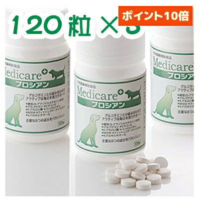 2026.04 新商いもの特集！