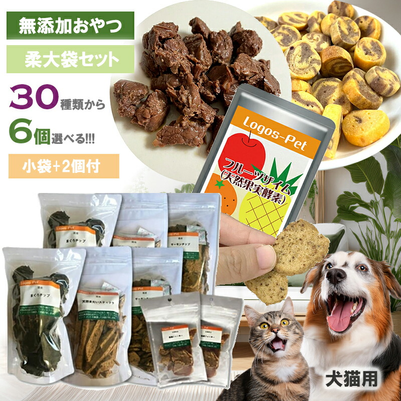 2026.04 新商いもの特集！