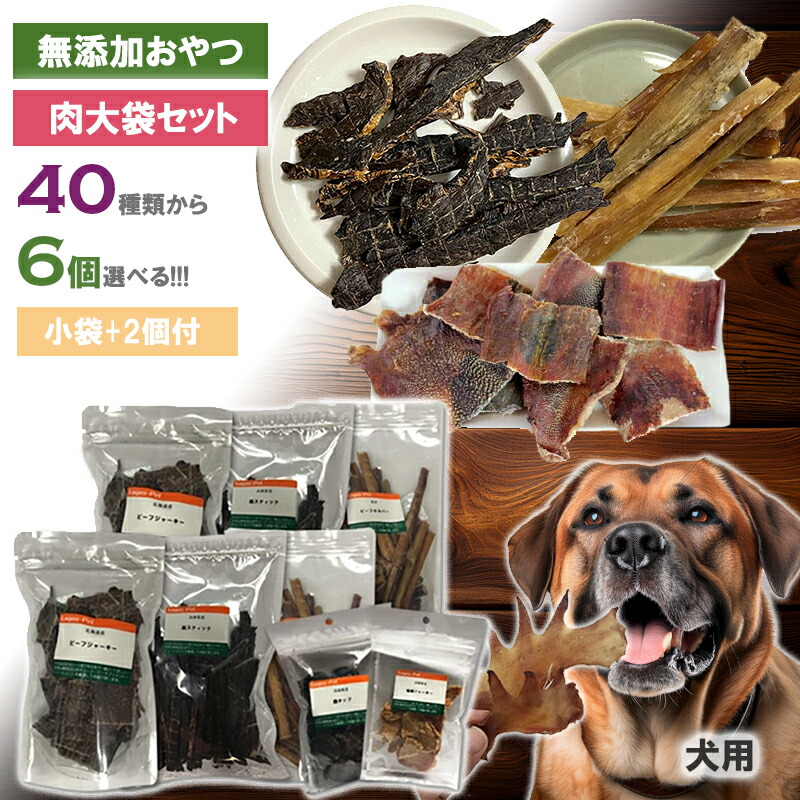 2026.04 新商いもの特集！