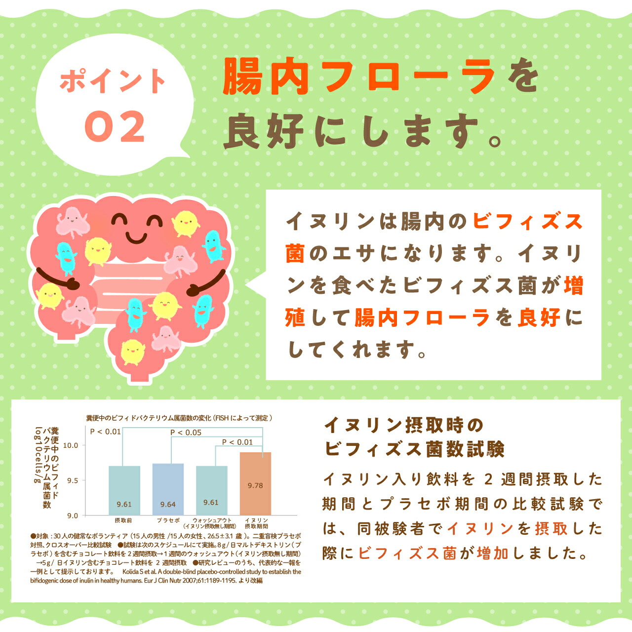 イヌリン 機能性表示食品 500g 【食後の 血糖値 や 便秘 が気になる方