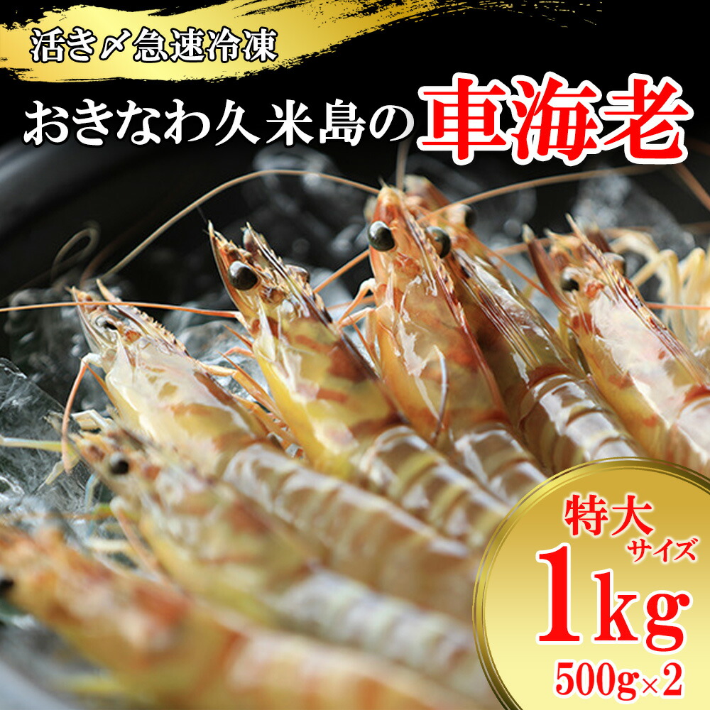 お中元 ギフト 『 活き〆 急速冷凍 久米島 の 車えび 500g 特大サイズ ( 15 ～ 19尾 / 約17cm) &times;2箱 (計1kg) 生食可 』 御中元 お歳暮 送料無料 高級食材 ぷりっぷり プレゼント 沖縄 車海老そば 人気 車海老 お中元 敬老の日 母の日 送料無料｜沖縄みやげの卸問屋「城間商店」 9,828円