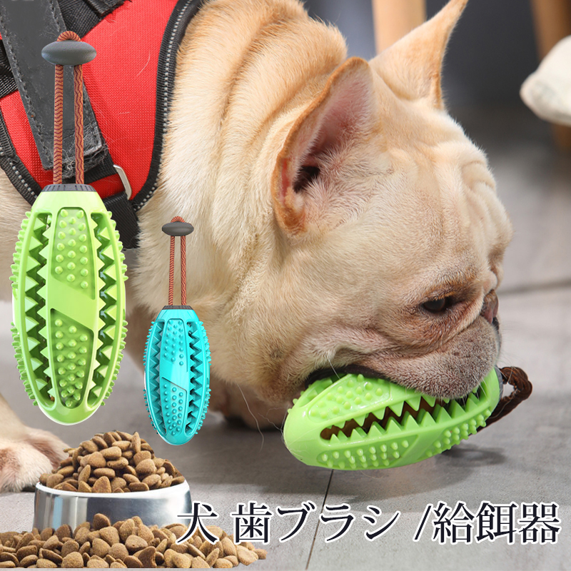 [最も好ましい] 犬 お手入れ 噛む 322507犬 お手入れ 噛む