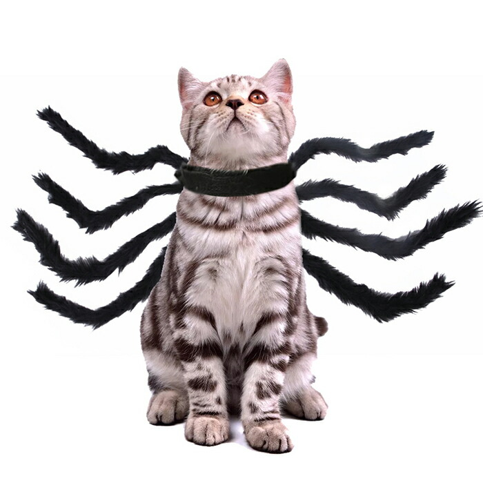 ペットコスプレ 猫 犬 クモ変身 犬用 蜘蛛 コスチューム クモの足 ハロウイン変 くも 黒 かわいい かっこういい 猫/小型犬 仮装 変身グッズ  ハロウィン クリスマス 撮影｜modanic