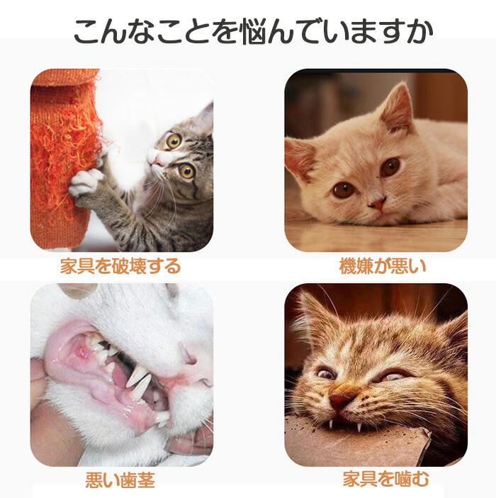 最大71 オフ 猫じゃらし 吸盤 固定 猫おもちゃ 釣り竿 6点セット 鈴付き 猫 猫用おもちゃ 羽根 ねこじゃら ネコ 猫用釣竿 交換用 一人遊び 知育玩具 しなやか ストレス解消 運動不足解消 遊び道具 ペット用品 Www Agroservet Com