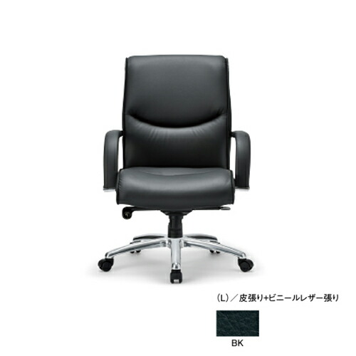 【法人押さえる】 エグゼクティブチェア 置き目うしろ側 皮+ビニールなめし革張り 貨物輸送無料 肘付女性議長 学習机女性議長 常務取締役女性議長 執務室調度品 RA-4205L