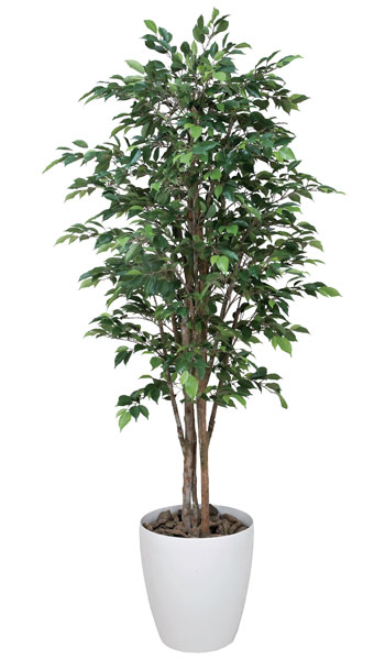 【P5倍7/20 13-15時&最大1万円ｸｰﾎﾟﾝ7/19-25】 ベンジャミン 観葉植物 造花 鉢植え プラント 人工植物 植木 鉢付き 消臭 抗菌 防汚 おしゃれ インテリア オフィス 玄関 ガーデン 施設 病院 店舗 C3808-400｜LOOKIT オフィス家具 インテリア 33,995円