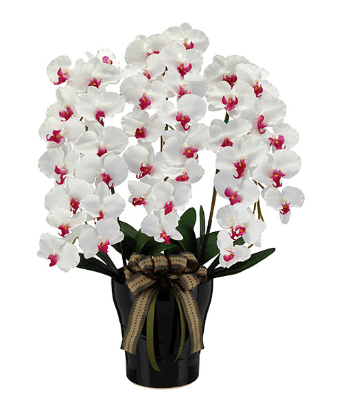 【最大限度1万円ｸｰﾎﾟﾝ6/4-10】 ロイヤルコチョウラン 観葉草木 造花 夢見鳥蘭 工業プラント 人工草木 花 鉢付き添い人 消臭 抗菌 防汚 今めかしい 室内装飾 事務室 話し合い室 入り口・入口 園地 創立 C0903-200