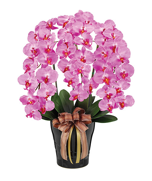 【最大1万円クーポン7/19-25】 ロイヤルコチョウラン 観葉植物 造花 胡蝶蘭 プラント 人工植物 花 鉢付き 消臭 抗菌 防汚 おしゃれ インテリア オフィス 会議室 玄関 ガーデン 施設 C0904-200|LOOKIT オフィス家具 インテリア