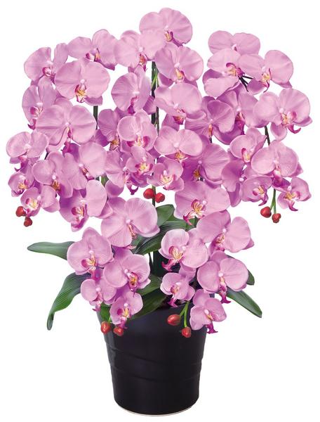 【最大1万円ｸｰﾎﾟﾝ4/14-17】 クイーン胡蝶蘭L 観葉植物 造花 鉢植え プラント 人工植物 花 鉢付き 消臭 抗菌 防汚 おしゃれ インテリア オフィス 会議室 玄関 庭 ガーデン 施設 EE0904-180